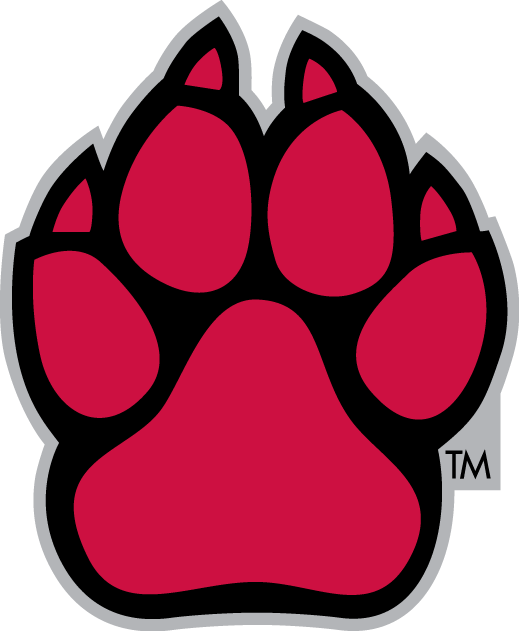 South Dakota Coyotes 2004-2011 Alternate Logo diy iron on heat transfer